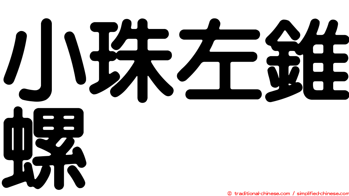 小珠左錐螺