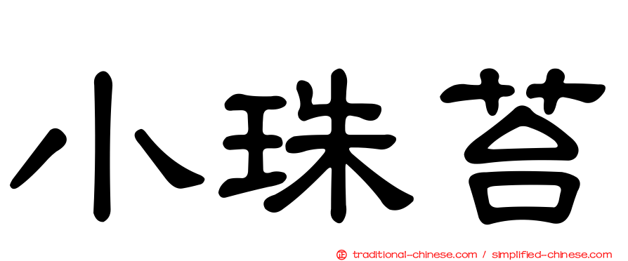 小珠苔