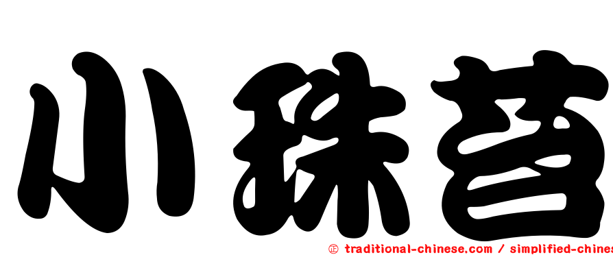 小珠苔