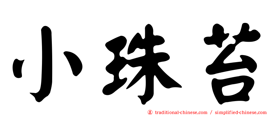 小珠苔