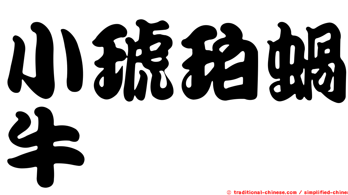 小琥珀蝸牛