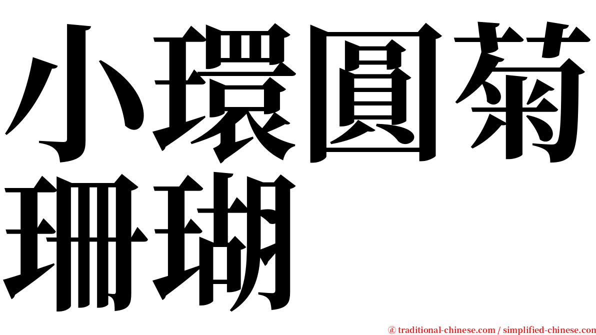 小環圓菊珊瑚 serif font