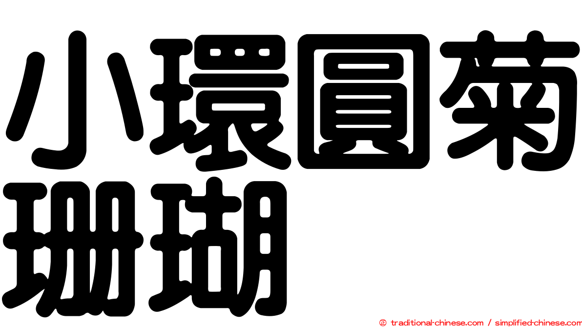小環圓菊珊瑚