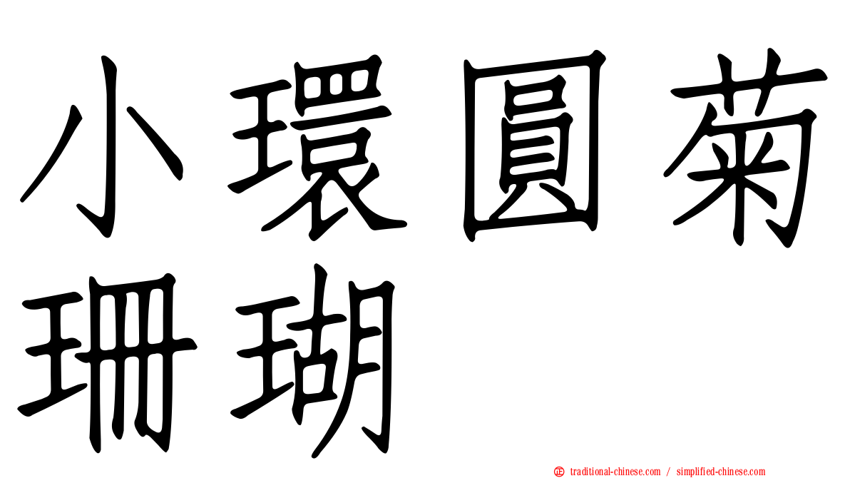 小環圓菊珊瑚