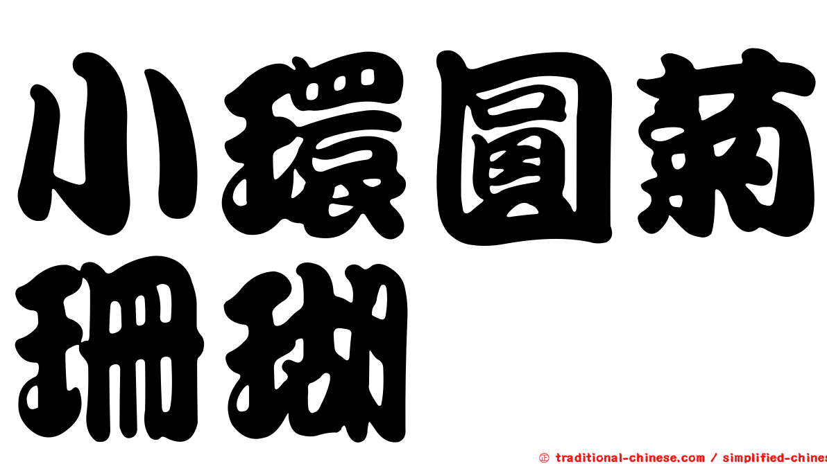 小環圓菊珊瑚