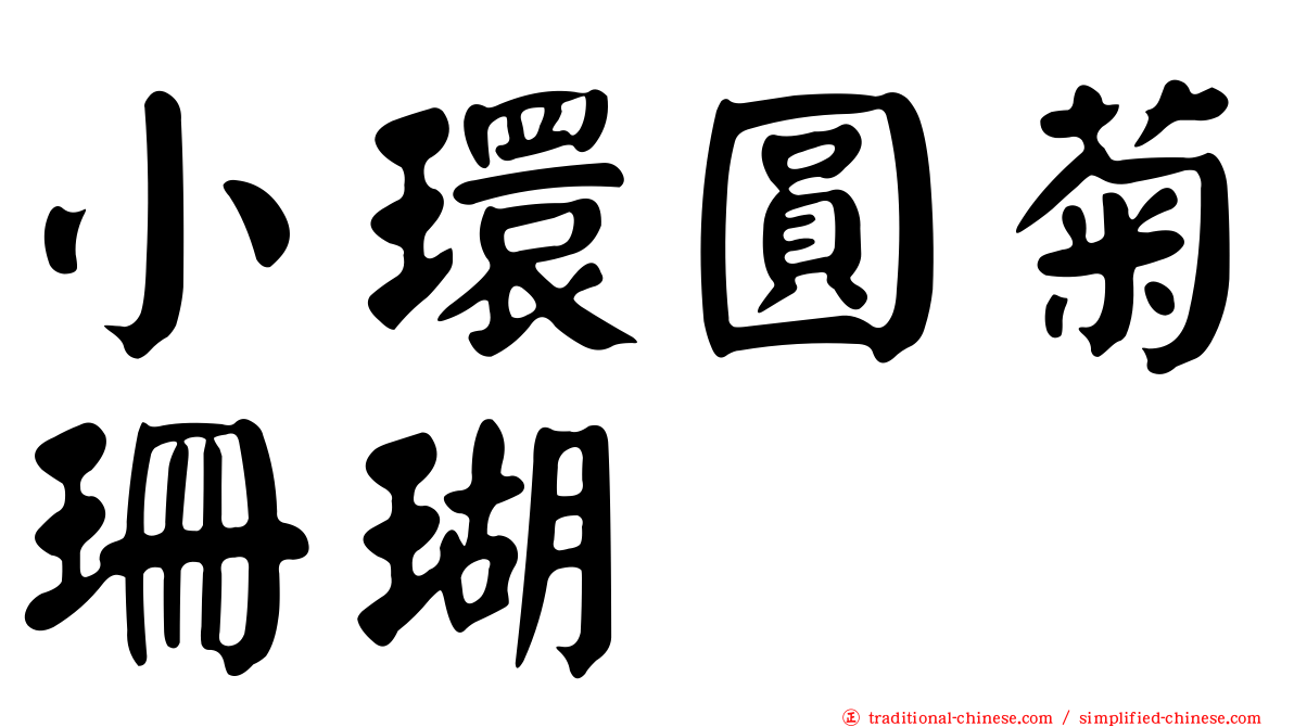 小環圓菊珊瑚