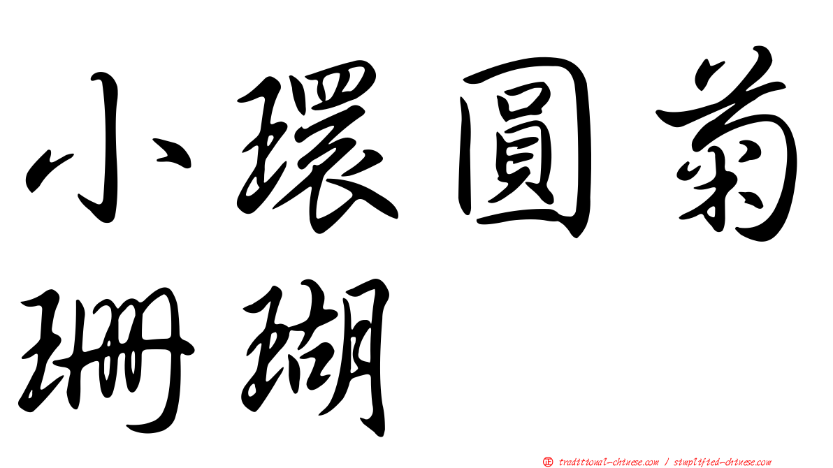 小環圓菊珊瑚