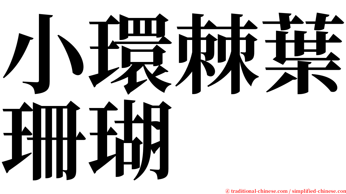 小環棘葉珊瑚 serif font