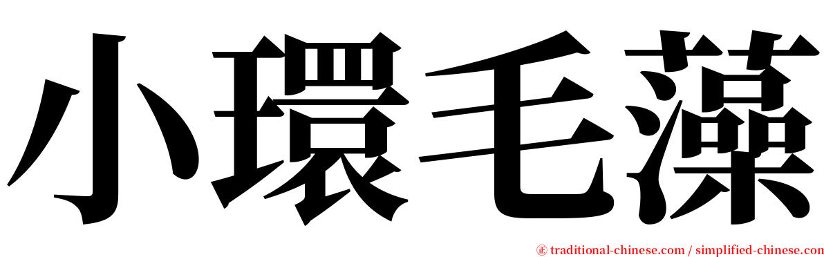 小環毛藻 serif font