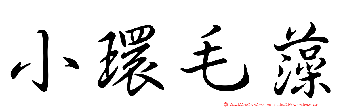 小環毛藻
