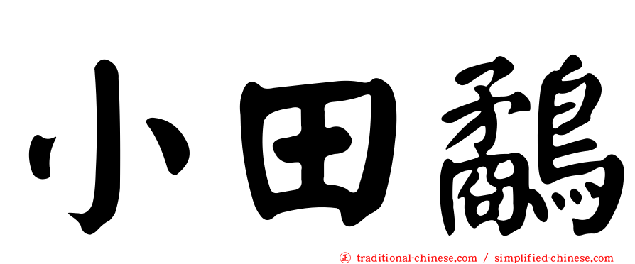 小田鷸