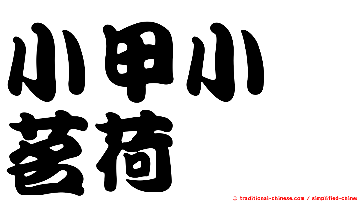 小甲小鎧茗荷