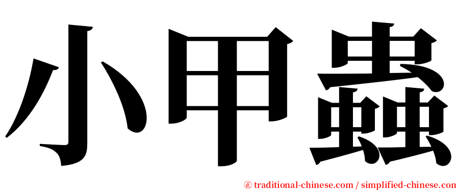 小甲蟲 serif font