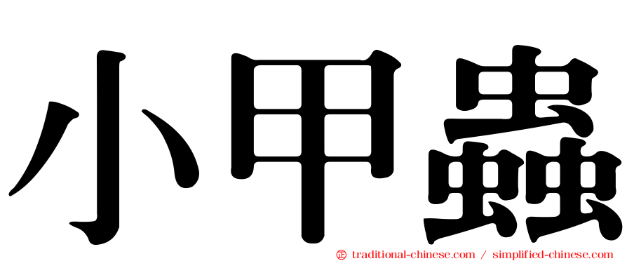 小甲蟲