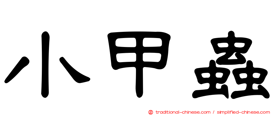 小甲蟲