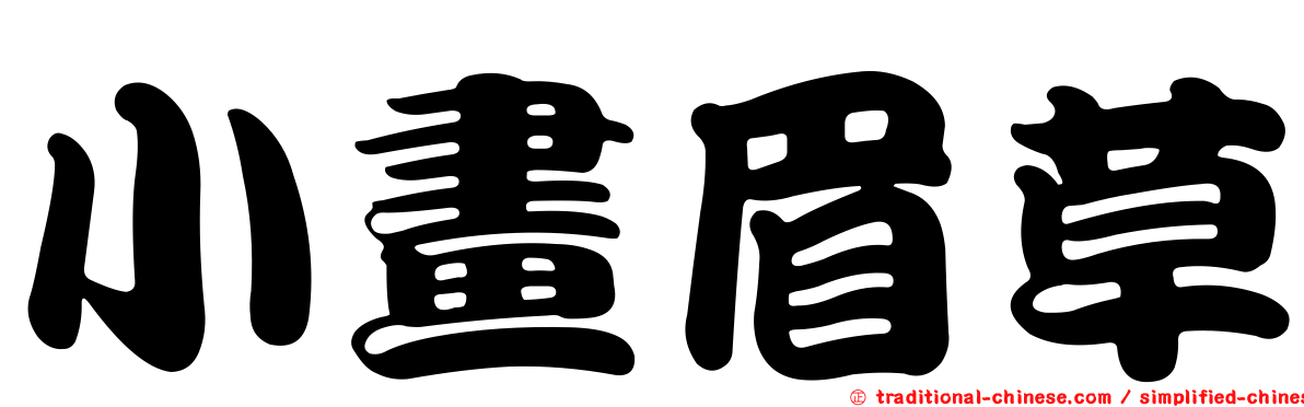 小畫眉草