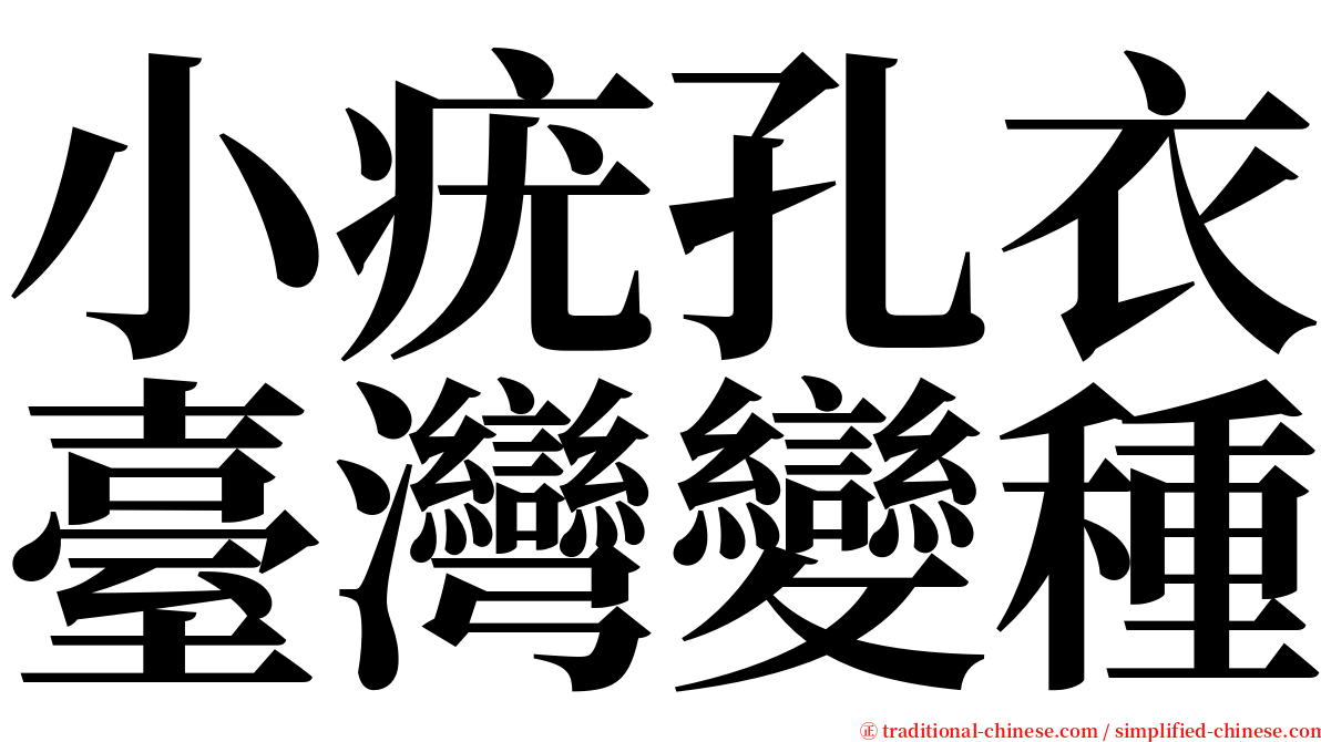 小疣孔衣臺灣變種 serif font