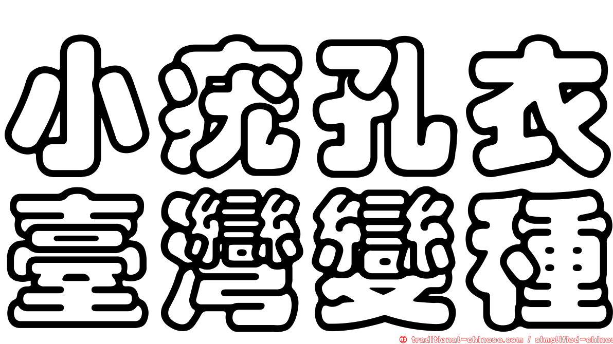 小疣孔衣臺灣變種
