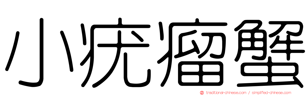 小疣瘤蟹