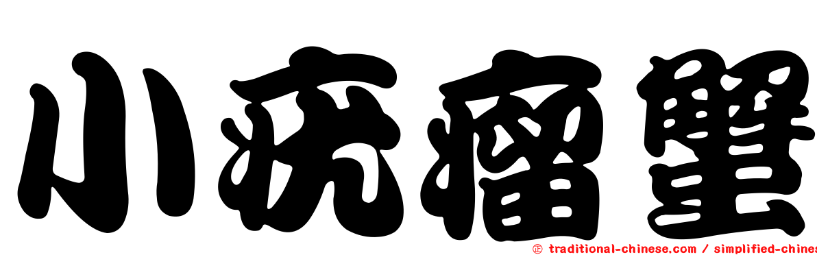小疣瘤蟹
