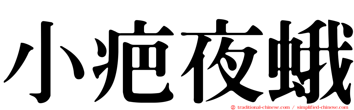 小疤夜蛾
