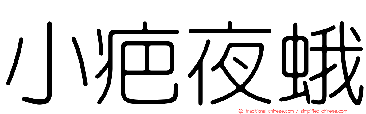 小疤夜蛾
