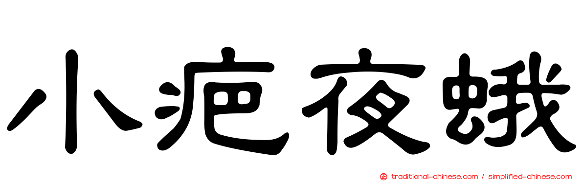 小疤夜蛾