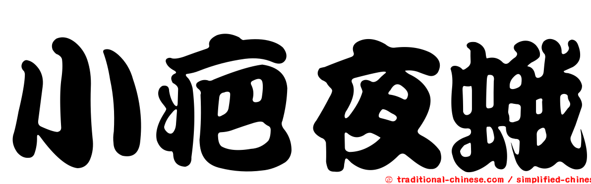 小疤夜蛾