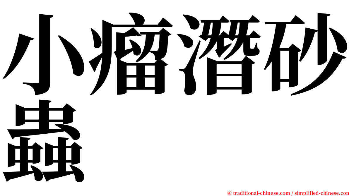小瘤潛砂蟲 serif font