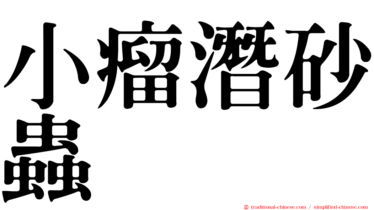 小瘤潛砂蟲