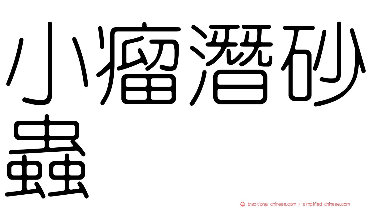 小瘤潛砂蟲