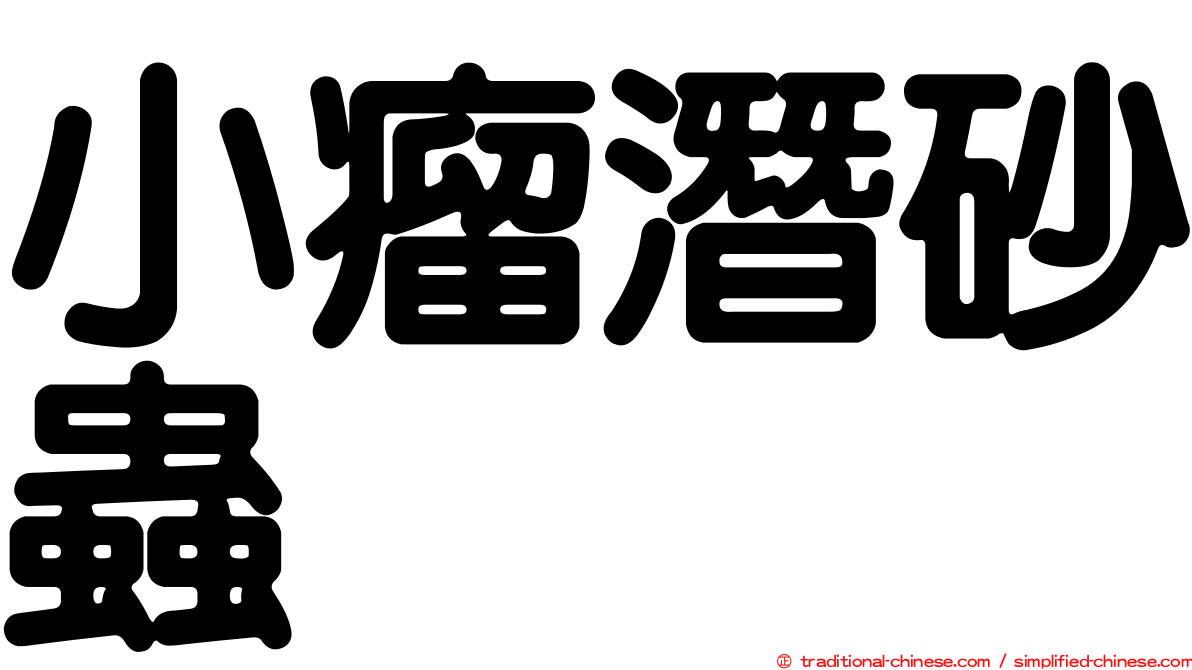 小瘤潛砂蟲