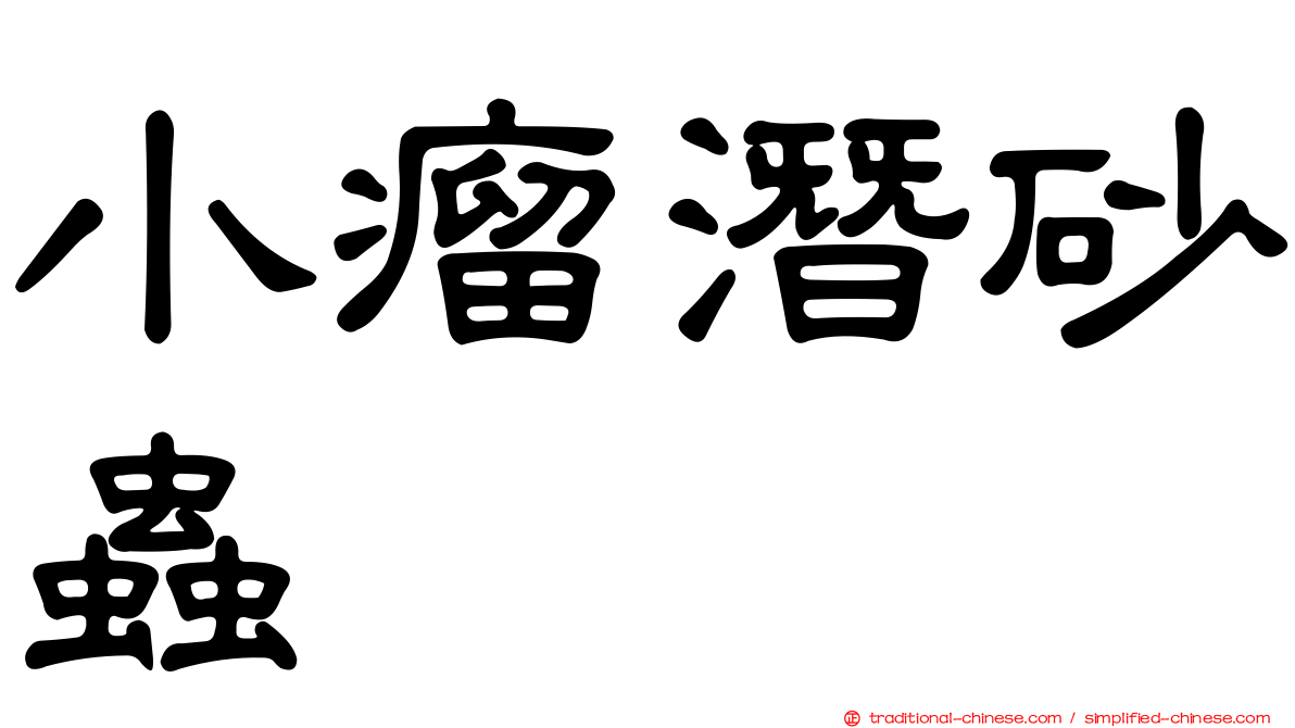 小瘤潛砂蟲