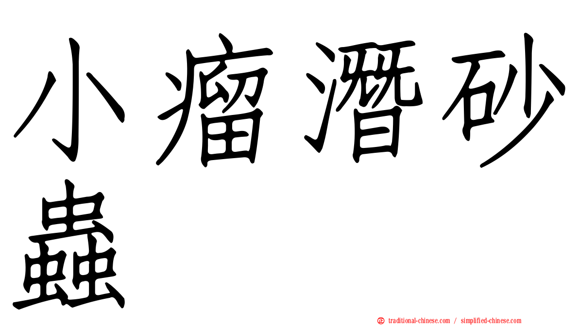 小瘤潛砂蟲