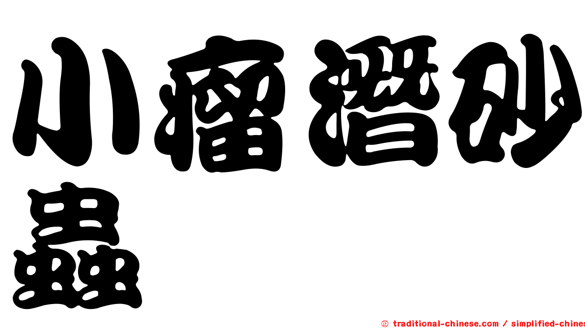 小瘤潛砂蟲