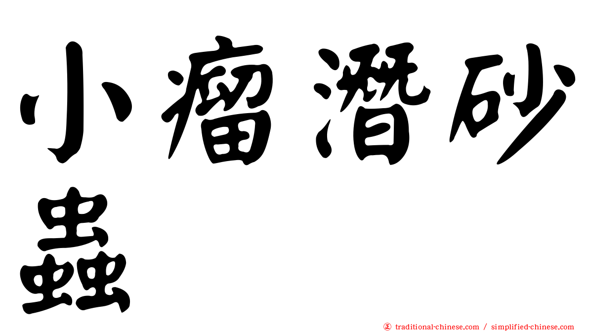 小瘤潛砂蟲