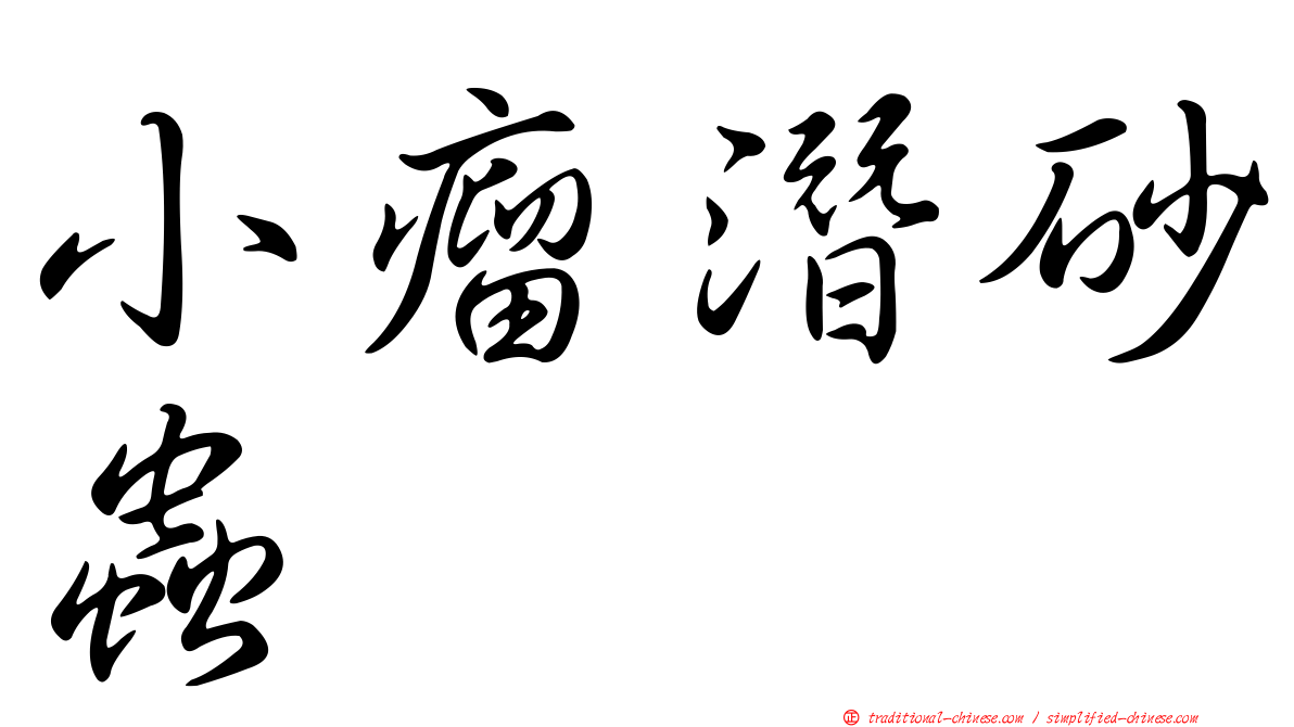 小瘤潛砂蟲