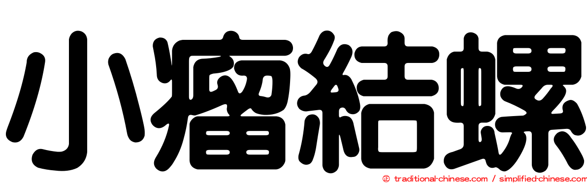 小瘤結螺