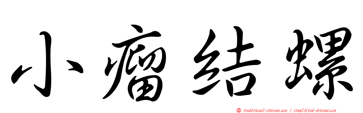 小瘤結螺