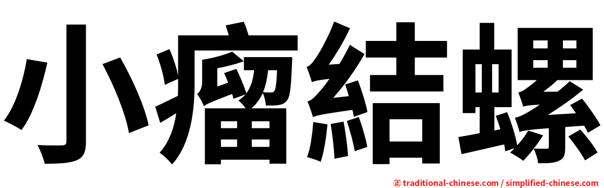 小瘤結螺