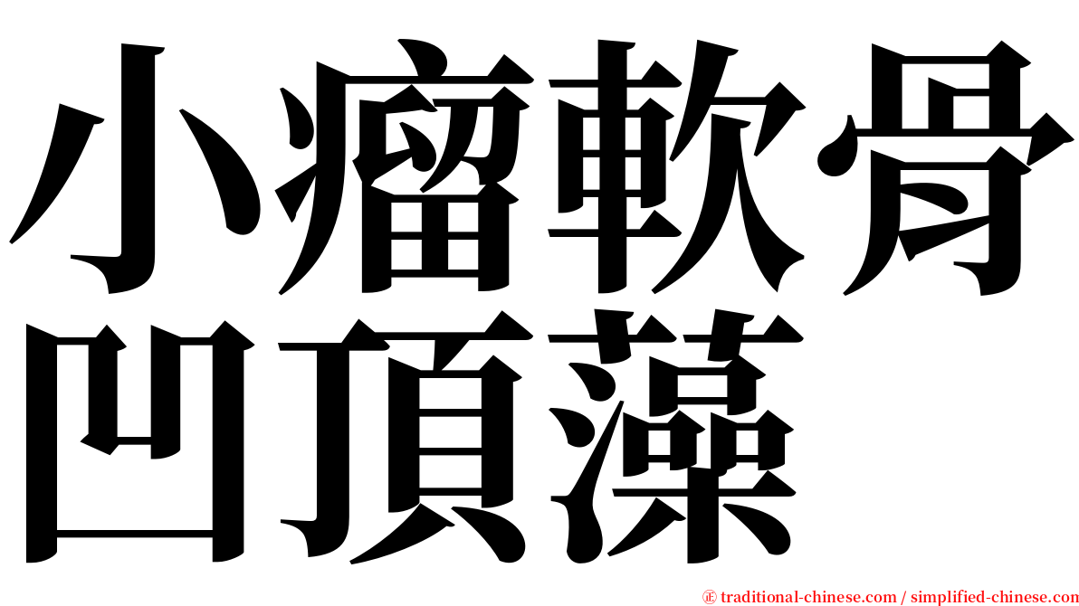 小瘤軟骨凹頂藻 serif font