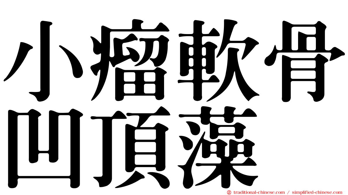小瘤軟骨凹頂藻