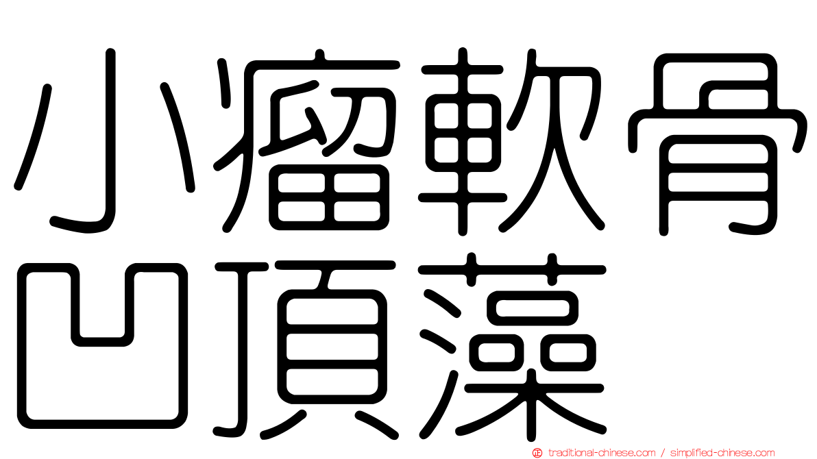小瘤軟骨凹頂藻