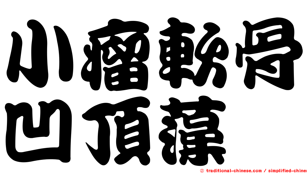 小瘤軟骨凹頂藻