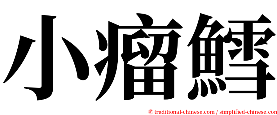 小瘤鱈 serif font