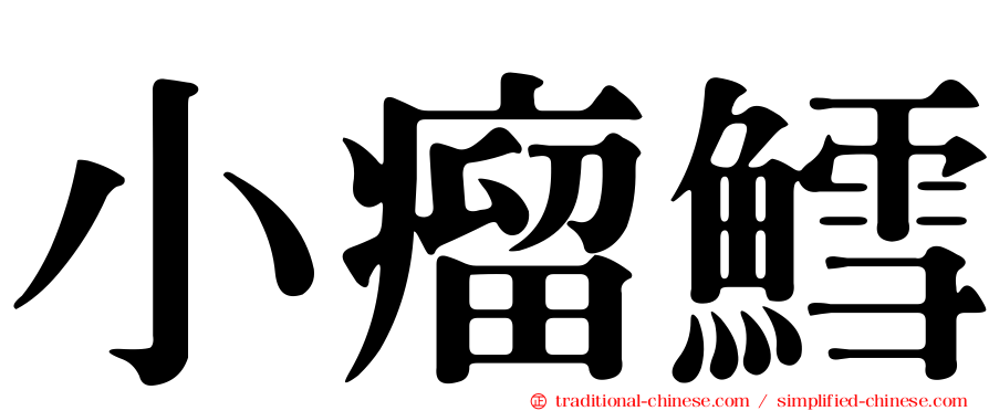 小瘤鱈