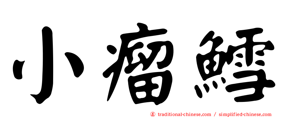 小瘤鱈