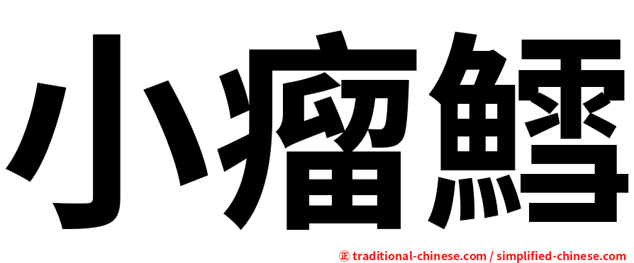 小瘤鱈