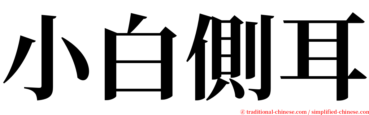 小白側耳 serif font