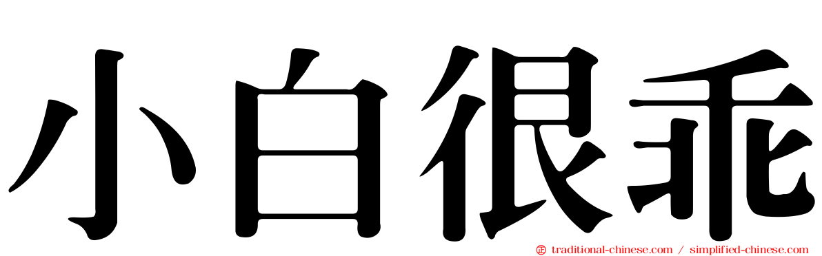 小白很乖